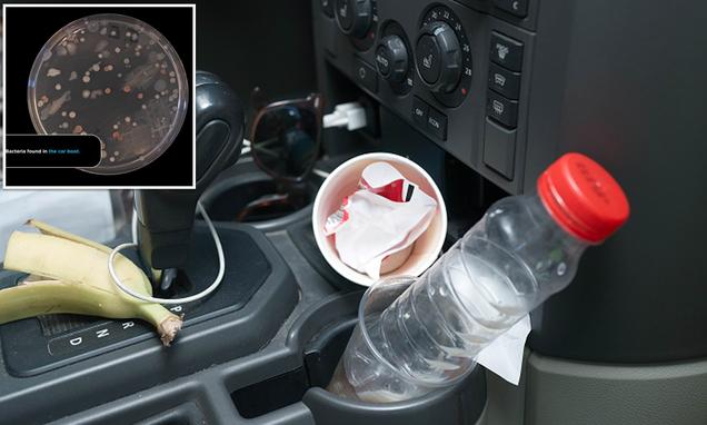 Your car’s interior is dirtier than a toilet seat, new research suggests