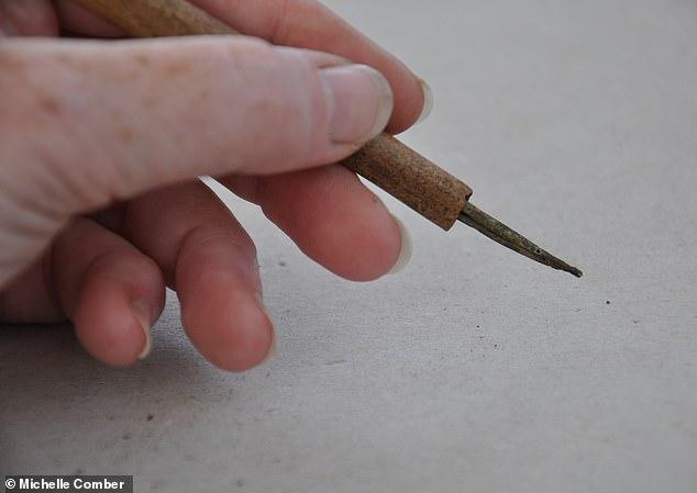 Archaeology: Ireland's oldest INK PEN that dates back some 1,000 years found in County Clare 
