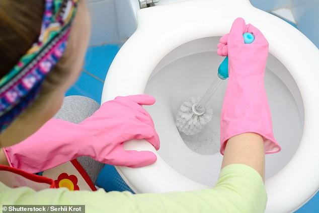 The worrying reason why these little black worms swim in your toilet 
