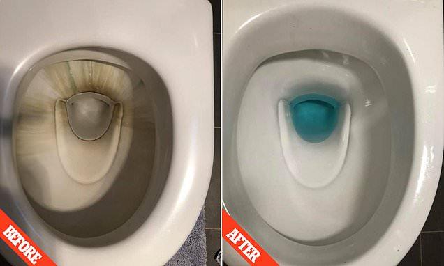 Woman reveals how a $10.50 product restored her toilet to pristine condition