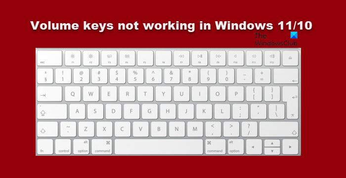 Keyboard Volume keys not working in Windows 11/10