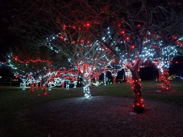 Northside Lights aglow for the season 