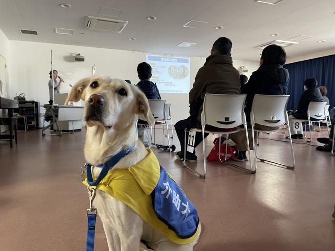 [Holding a visit-type tour for the first time in a year] I want you to come and see Japan's only comprehensive service dog training facility even in the corona crisis!