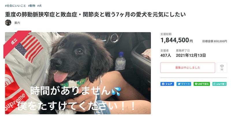 クラファン詐欺で儲けようとした26歳女性の悪質～なぜ彼女は愛犬の死を隠したのか