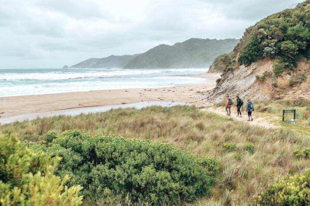 How To Enjoy Australia’s Great Ocean Road Using Only Local Transport 