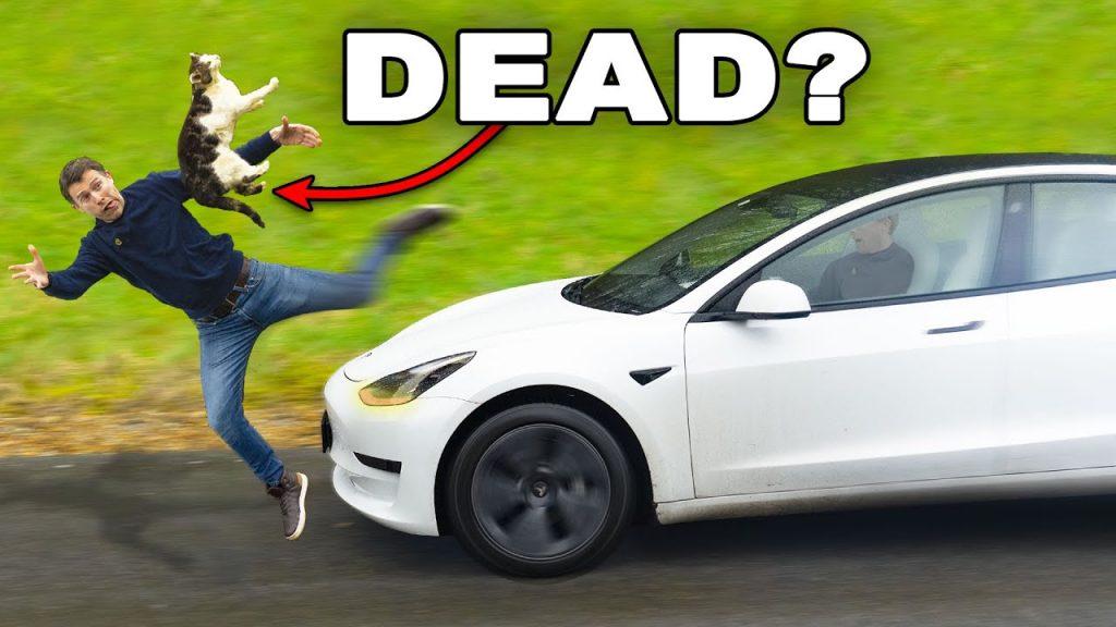YouTuber tests whether a Tesla autopilot would run over a cat, a kangaroo and Elon Musk New MIT study confirms Tesla’s autopilot is indeed unsafe 