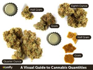 How Much Is A Gram Of Weed: Visually Understanding Marijuana Quantities 