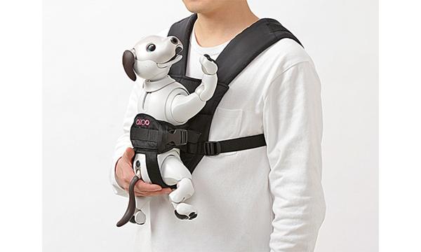 One that is the same everywhere.AIBO dedicated hug is born