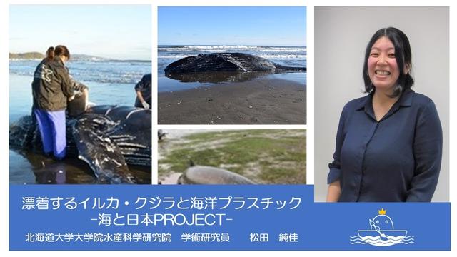 オンライン講義『漂着するイルカ・クジラと海洋プラスチック-海と日本PROJECT-』を開催しました！ 