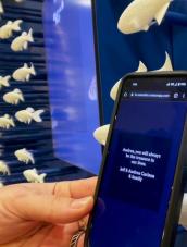 Shapeways and Sitara Update Dana-Farber 3D Printed Zebrafish Display, Adding NFC Tags 
