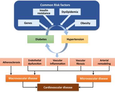 Blood Pressure Management and CVD Prevention in T2DM 