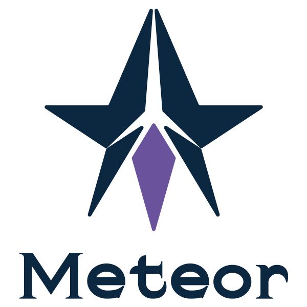 神奈川にeスポーツチーム「Meteor(ミーティア)」が結成、【Apex Legends部門】を設立しました 