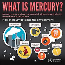 Mercury and health 