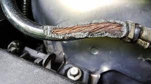 Does car insurance cover rodents chewing wires?