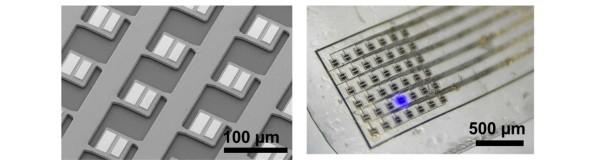 光遺伝学用マイクロLEDアレイ極薄フィルムを開発：脳の特定部位を狙って光を照射