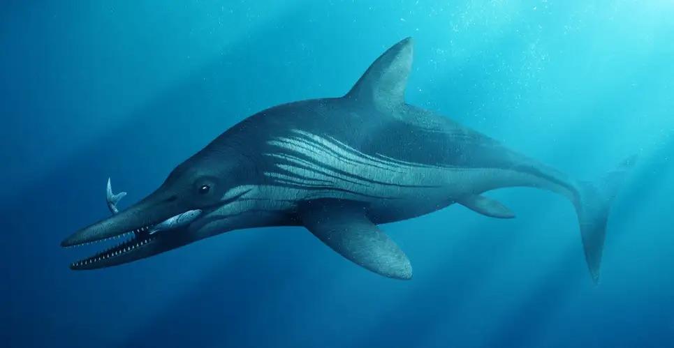  イギリスで巨大な「魚竜」の化石が発見される