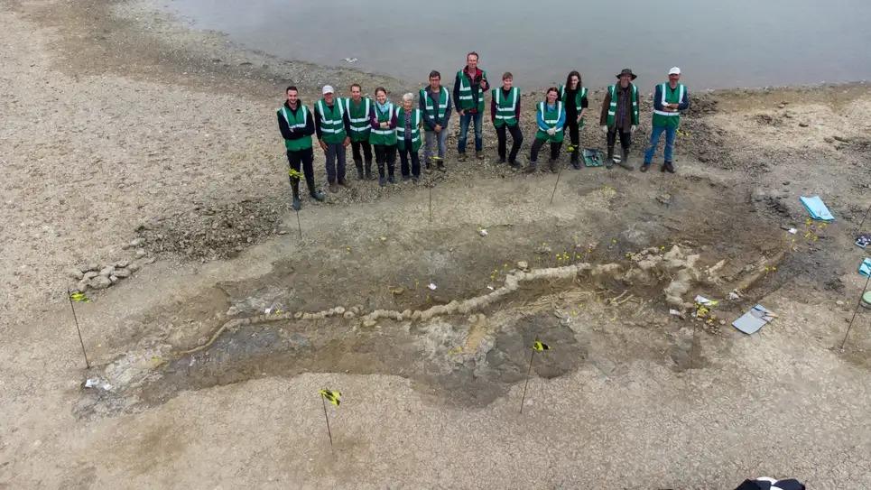  イギリスで巨大な「魚竜」の化石が発見される 