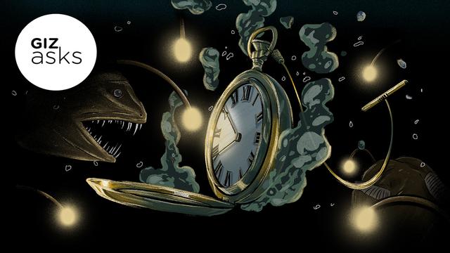 How does animals recognize time?