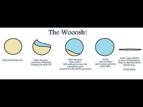 Is the Keto Diet Whoosh Effect a Real Thing? 