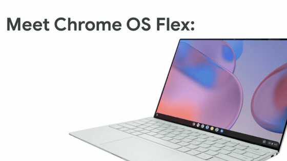  PCやMacにインストール可能　Googleが「Chrome OS Flex（早期アクセス版）」の提供を開始 