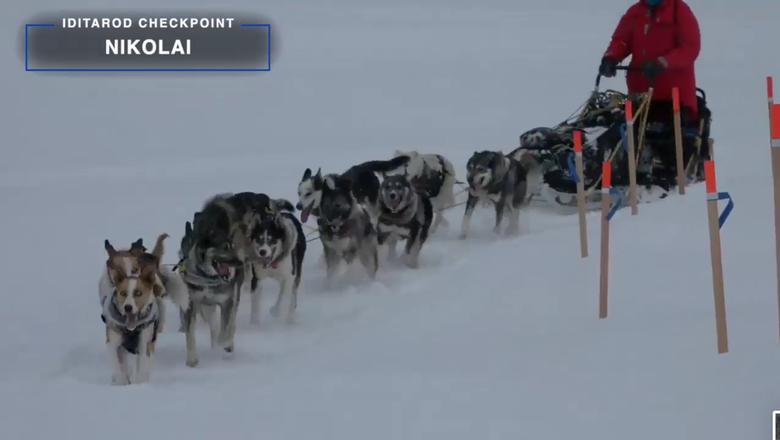 From the Middle of Nowhere: How the Iditarod 24/7 Live Stream Is Produced Amid the Pandemic 