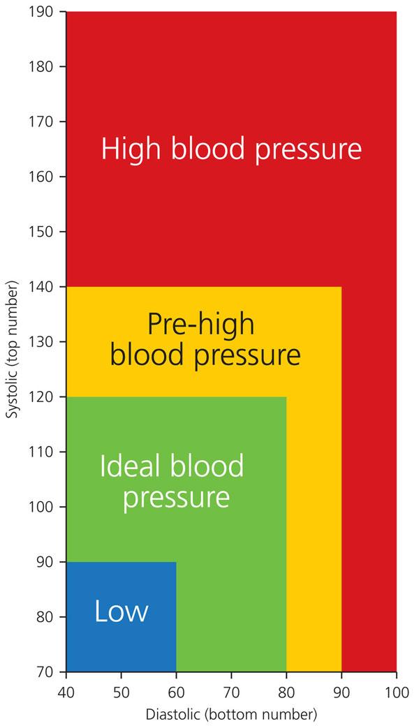 How Is Blood Pressure Measured and What Do the Numbers Mean? 