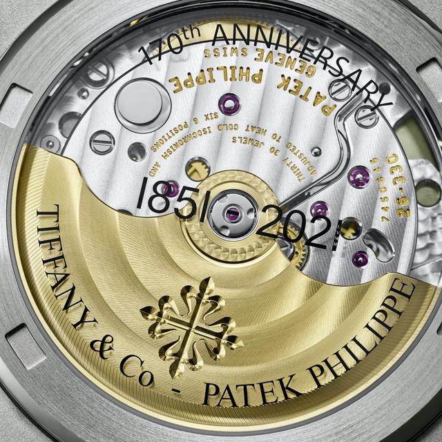 JAY-Z Flexes .5M Tiffany x Patek Philippe Watch 