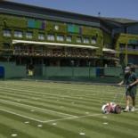 Wimbledon Covid rules: How the new regulations work, tennis ‘bouncers’ and what to expect on TV 