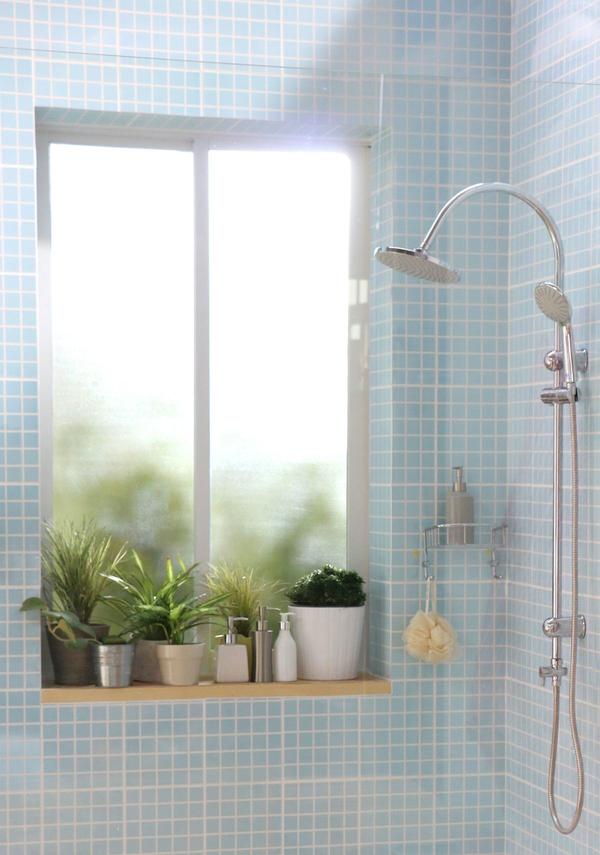Solved! How to Establish Privacy When You Have a Window in the Shower