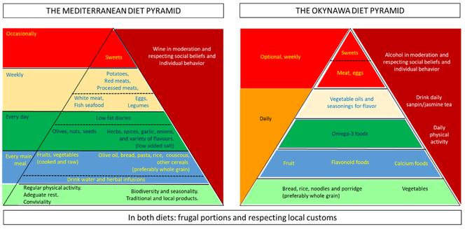 Relationship between dietary variety, adequacy, moderation, and balanced diet and cardiovascular risk factors 