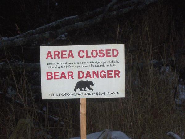 Fatal bear attack prompts reminders of wildlife safety, gives insight into bear behaviour