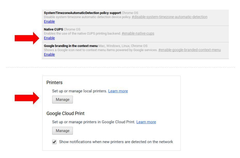 How to print to a local network printer from a Chromebook 