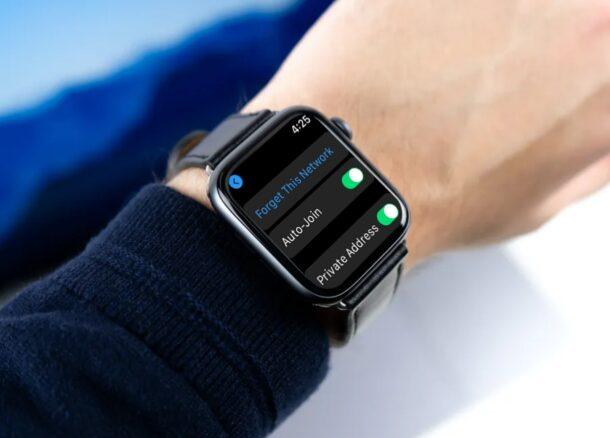 How to Use a Private Wi-Fi Address on Apple Watch 
