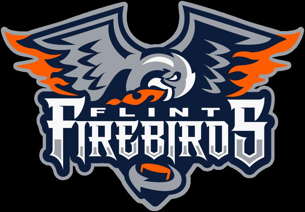 First-Place Firebirds Seek Second-Straight Victory Over Sting Friday 