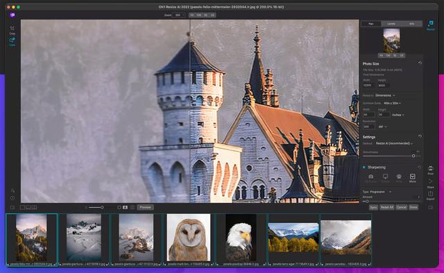 ON1 announces new ON1 Resize AI: New software uses AI to create sharper enlargements 