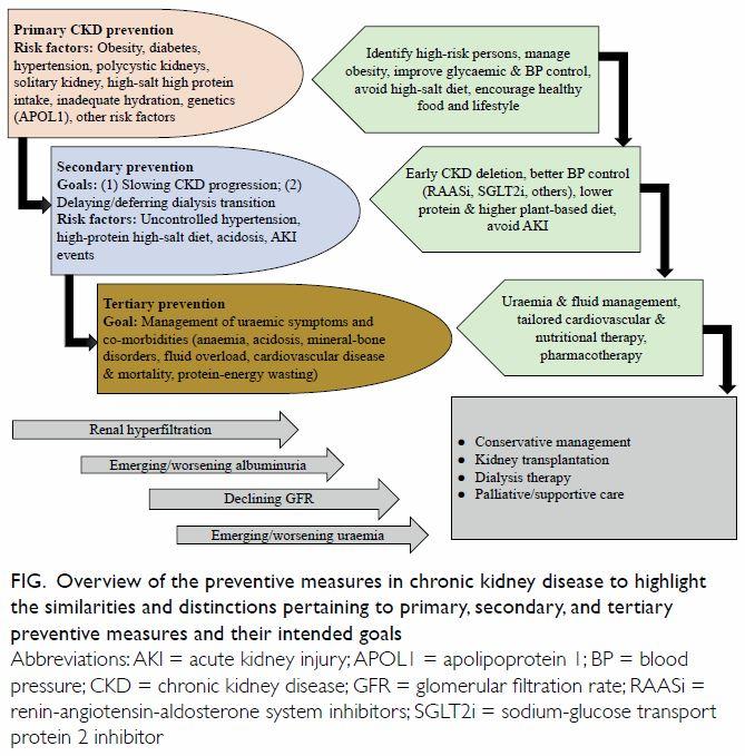 We've got news for you. Here's how to prevent the silent onset of chronic kidney disease 