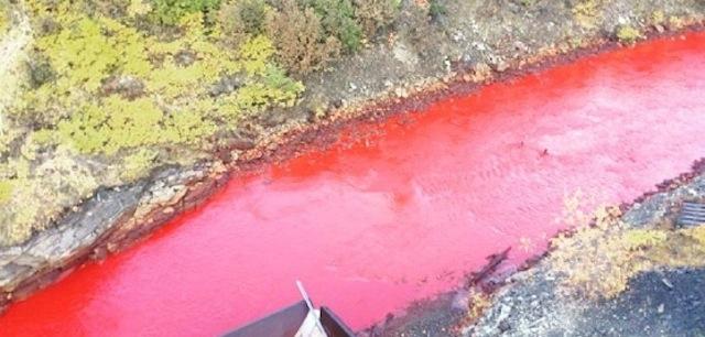 血の色に染まった川、ロシアで大問題に… 
