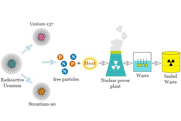 How to track radiation pollution 