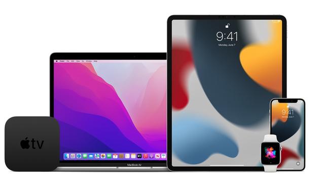 Now if you want to try iOS 15 ·watchOS 8 ·iPadOS 15, confirm the corresponding terminal!