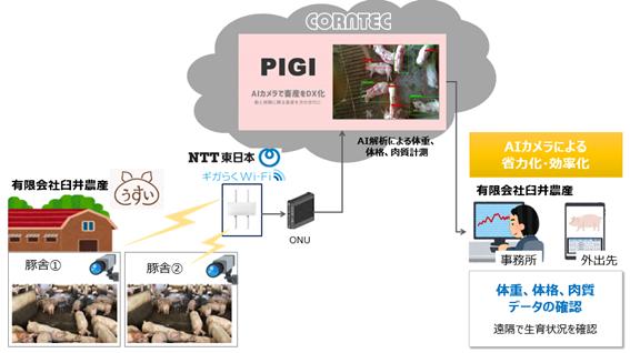 コーンテック、NTT東日本の「スマート畜産」普及に向けた構築実証実験に協力