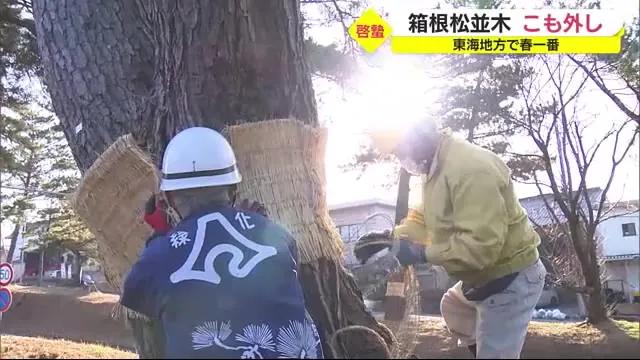  商品棚が空に…健康サプリメント9万4000円相当を万引きか　37歳女を逮捕　静岡・浜松市  