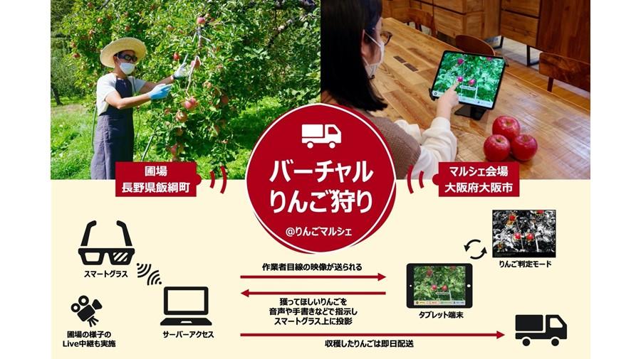 Toppan Toppan Printing, Demonstration Experiment of "Special Product Virtual Business Meeting" started Toppan Printing, Iizuna -cho's next -generation DX development base "Virtual Apple Hunting" carried out "Virtual Apple Hunting", remote sightseeing on the theme of "food".