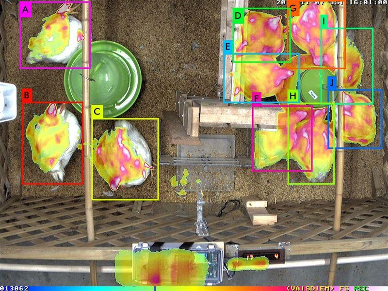 Collect more than 100 birds with one camera.How to make use of "poultry farming AI"