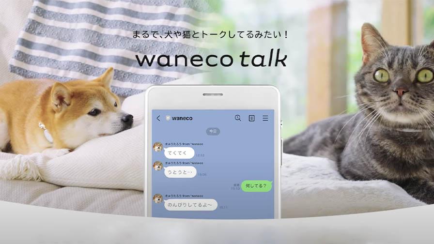 NEC、AIを活用してLINEで犬や猫とのトーク体験ができる「waneco talk」を先行予約販売開始