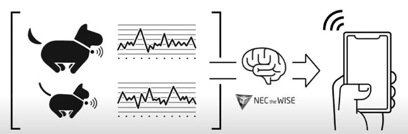 NEC、AIを活用してLINEで犬や猫とのトーク体験ができる「waneco talk」を先行予約販売開始 