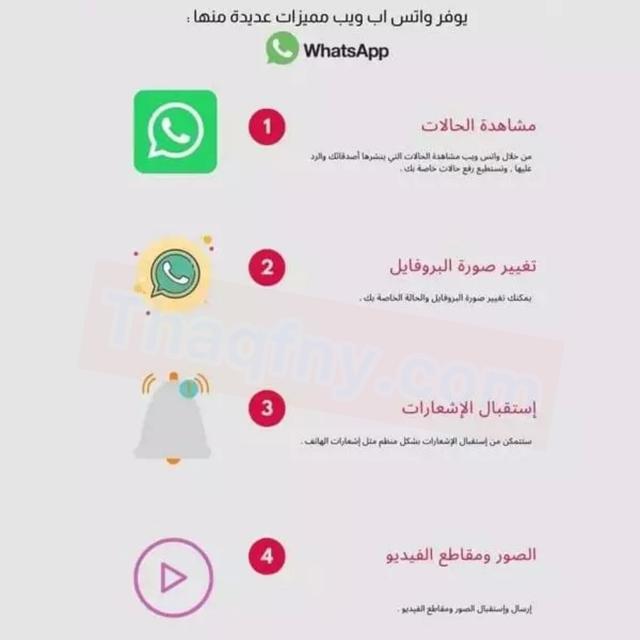 تعرف الآن على خطوات فتح واتساب ويب للكمبيوتر 2021- WhatsApp web 