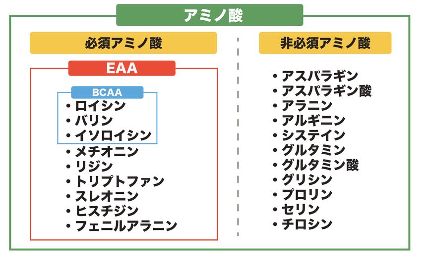 【2022年最新】EAAサプリおすすめ14選！　トレーニング効果をアップする摂取法も紹介 