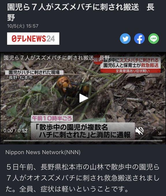 保育園の散歩中に…オオスズメバチに園児6人・職員1人が刺される　駆除業者「この時期のハチは凶暴」