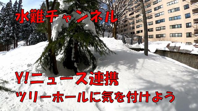 スキー・スノボで気をつけたいツリーホールについて　雪国在住の筆者が解説