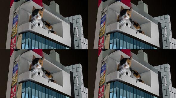 新宿の巨大猫、制作元がメイキング画像を公開　「どの角度なら立体的？」を3DCGで検証 